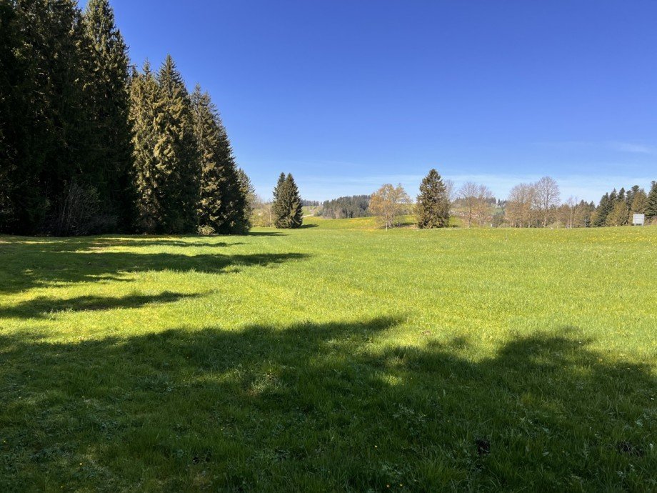  Land- / Forstwirtschaft - Grdst. Oberstaufen