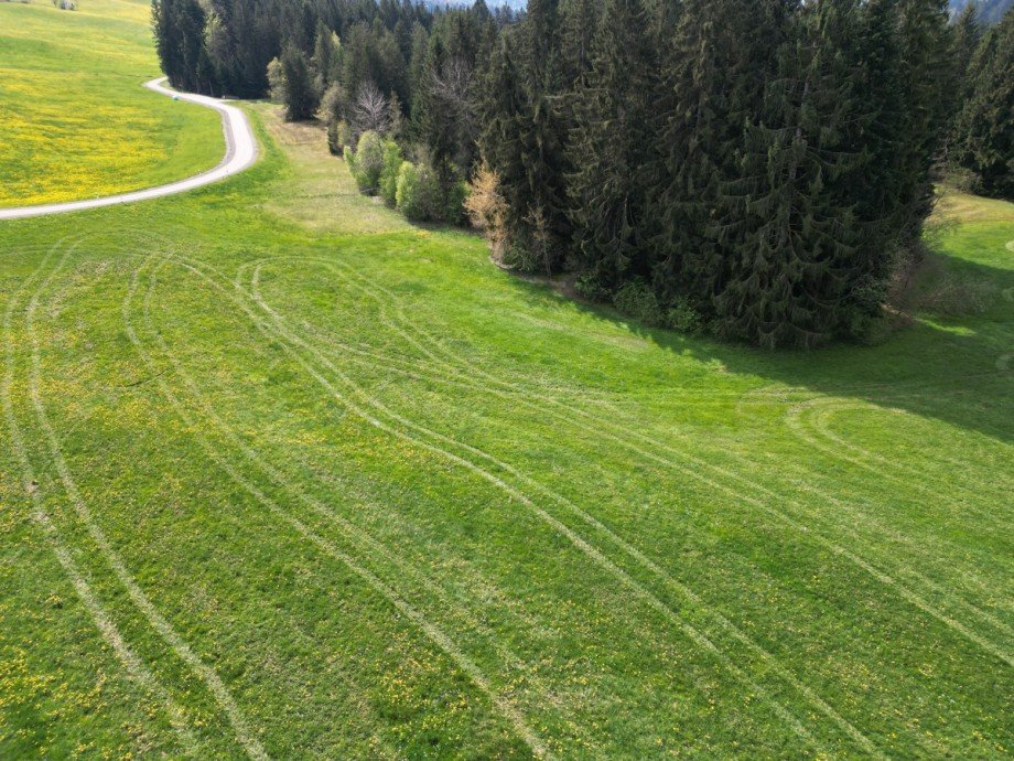  Land- / Forstwirtschaft - Grdst. Oberstaufen