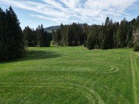 Bild (d62ebf52eab49521d57b33c08752b28b): Landwirtschaftliche Grundst�cke Wiese & Wald (Ausgleichsfl�chen) 3 Hektar in Oberstaufen / Allg�u
