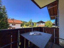 Westbalkon Hochgrat vor Augen: 
 2-Zimmer Ferienapartment mit Logenplatz
  in Steibis im Allg�u