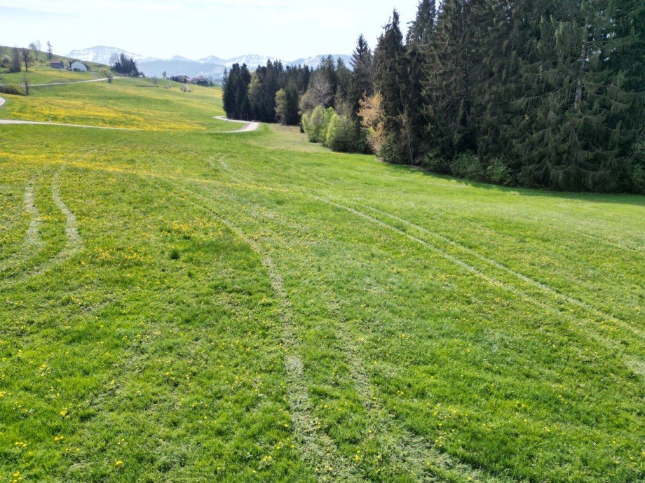  Land- / Forstwirtschaft - Grdst. Oberstaufen
