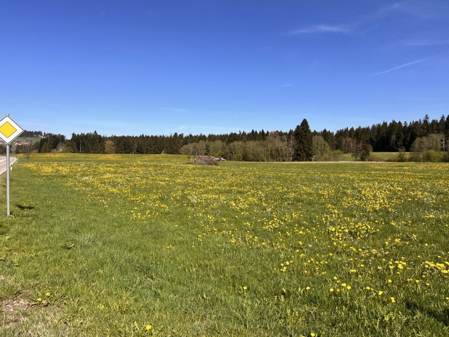  Land- / Forstwirtschaft - Grdst. Oberstaufen