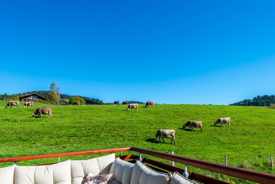 Balkon / Terrasse Dachgeschosswohnung Oberstaufen / Kalzhofen