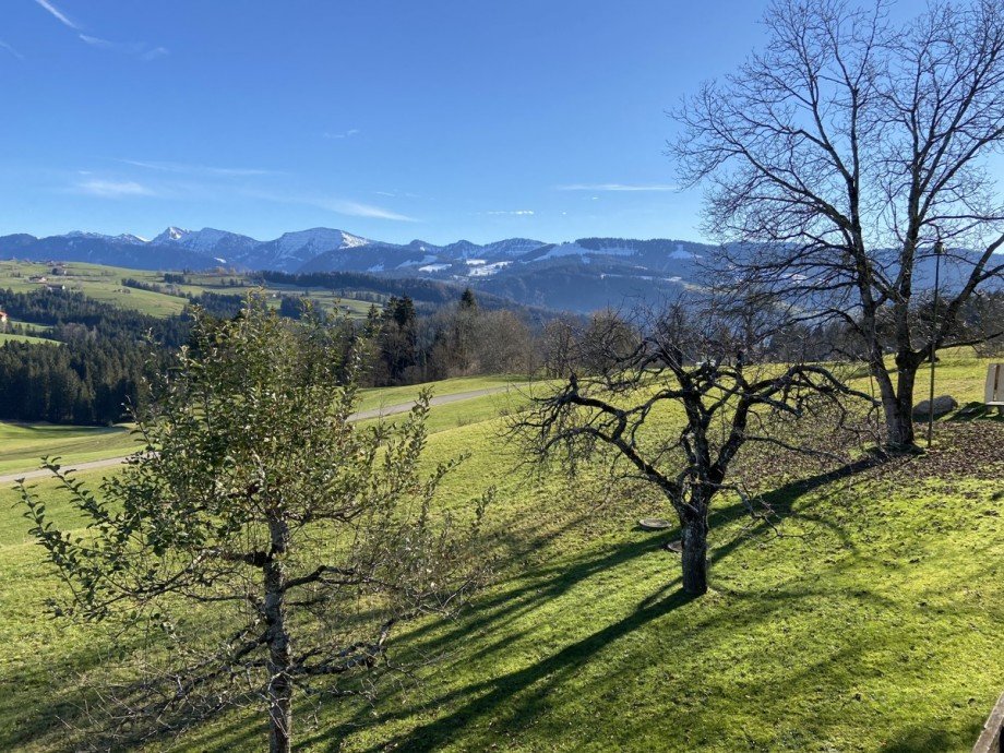 Aussicht Einfamilienhaus Oberreute