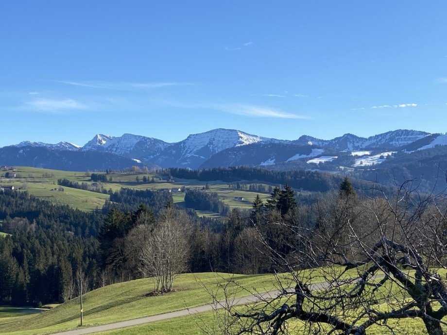 Aussicht Einfamilienhaus Oberreute