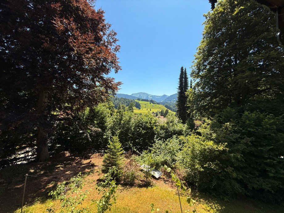 Ausblick Villa Oberstaufen / Wei�ach