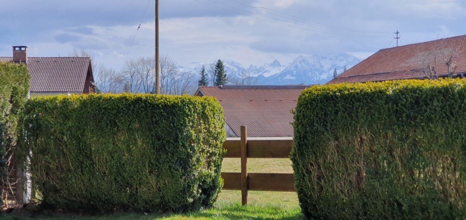 Ausblick Terrassenwohnung R�ckholz