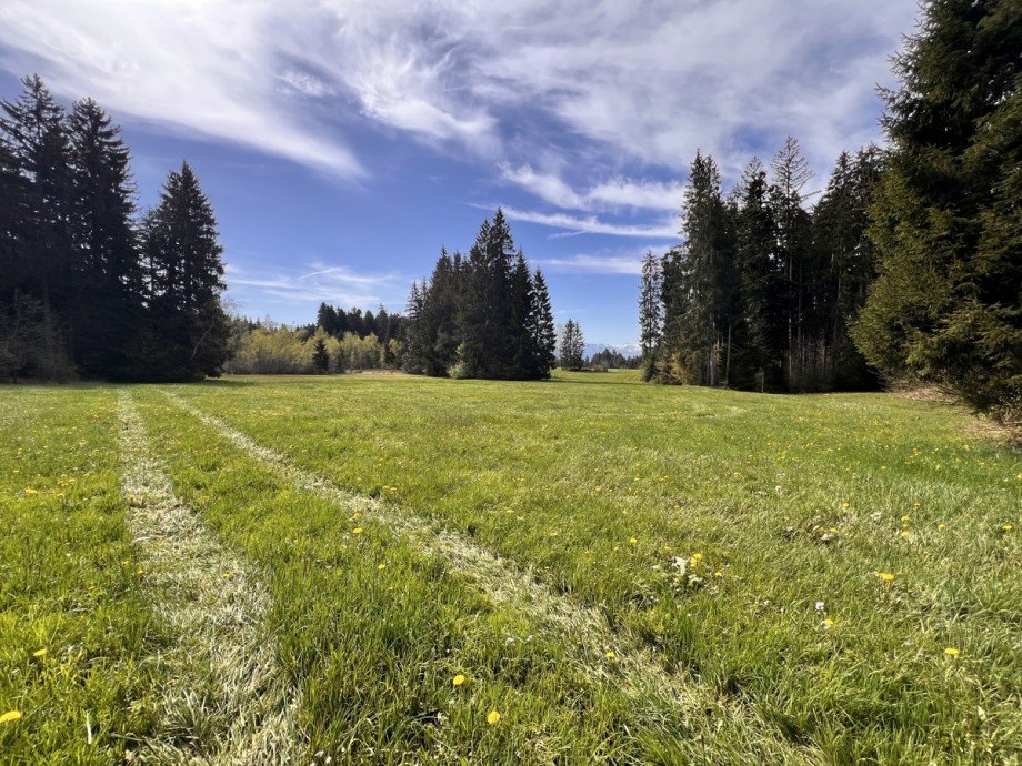  Land- / Forstwirtschaft - Grdst. Oberstaufen
